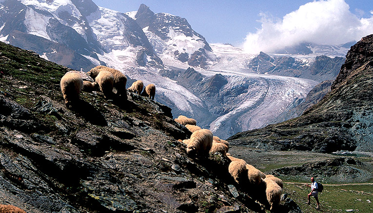 Wswi-switzerland-walking-12